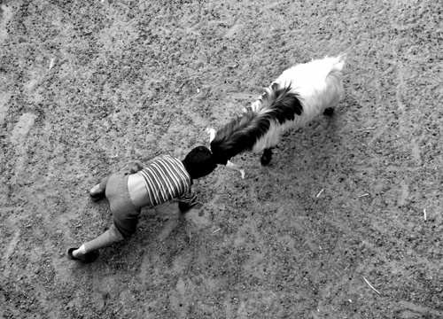 20 buc anh gianh giai nhiep anh di dong cua Sony hinh anh