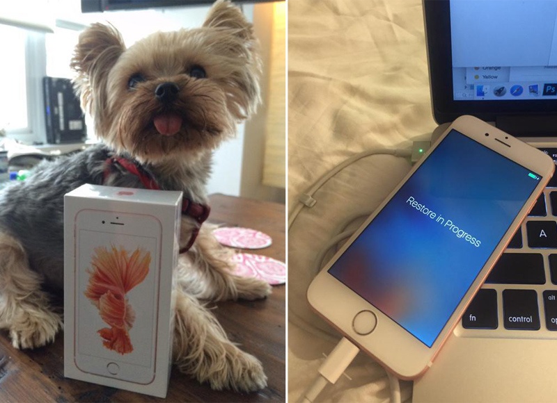 iPhone 6S bat ngo den tay nguoi dung som hinh anh