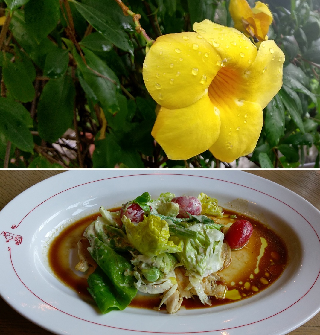 Ảnh chụp từ camera sau của HTC One A9.