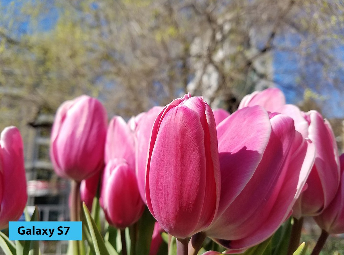 Camera trên smartphone đạt đỉnh ảnh 3 Camera tren smartphone dat dinh anh 3