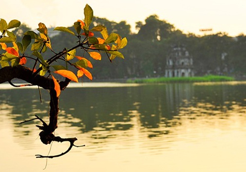 Ha Noi sap phu song Wi-Fi mien phi hinh anh