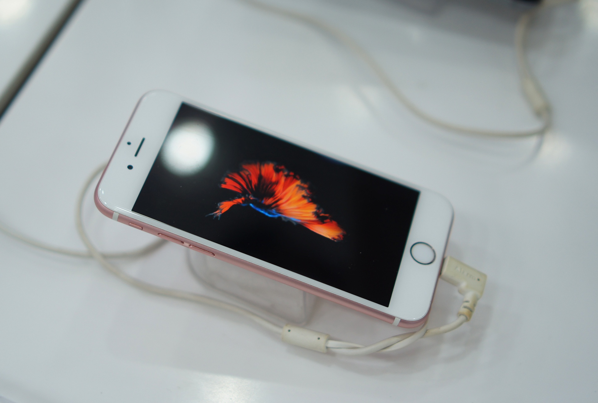 iPhone 6S giam gia sau tai Viet Nam don iPhone 7 hinh anh