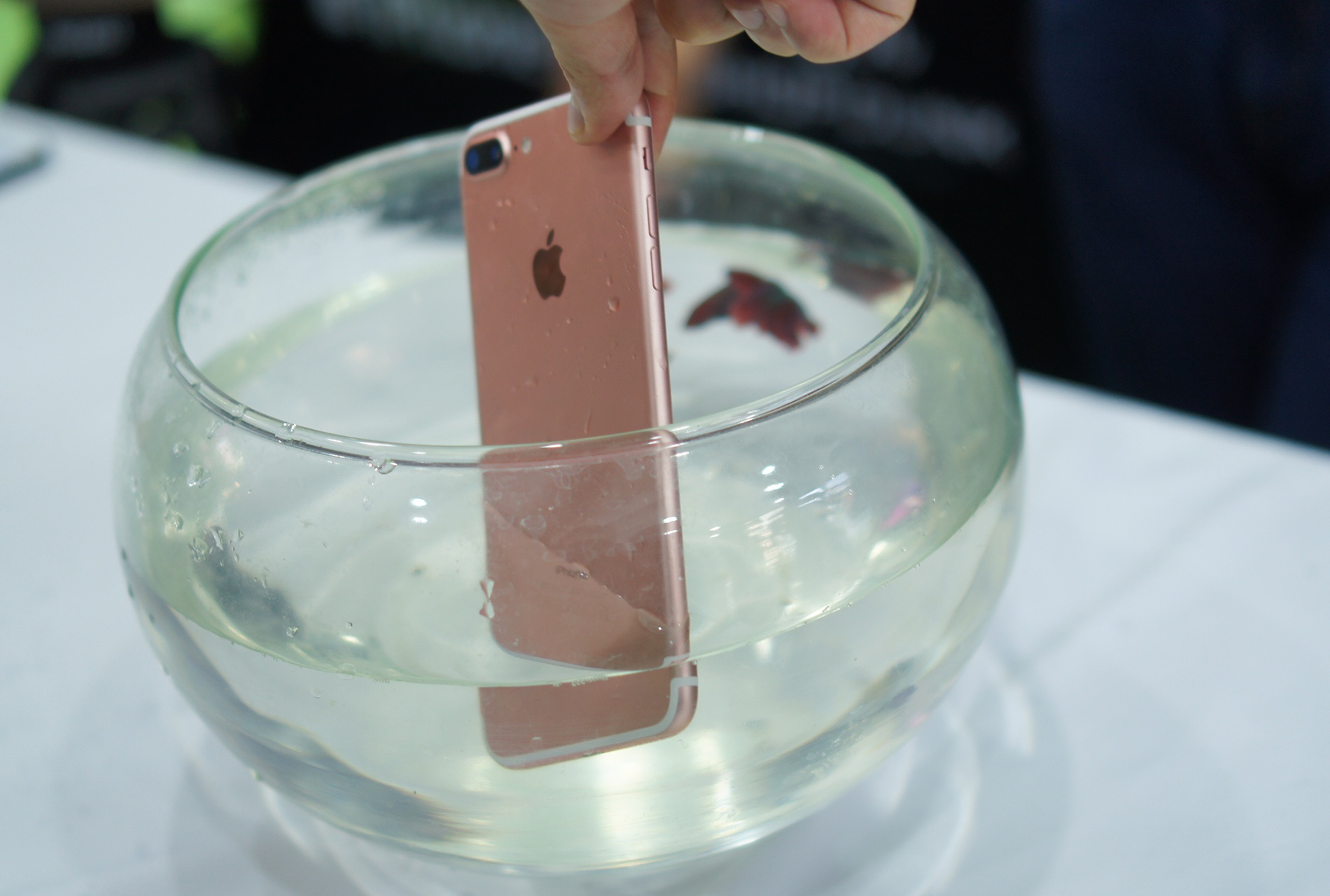 Thu ngam nuoc iPhone 7 Plus tai Viet Nam hinh anh