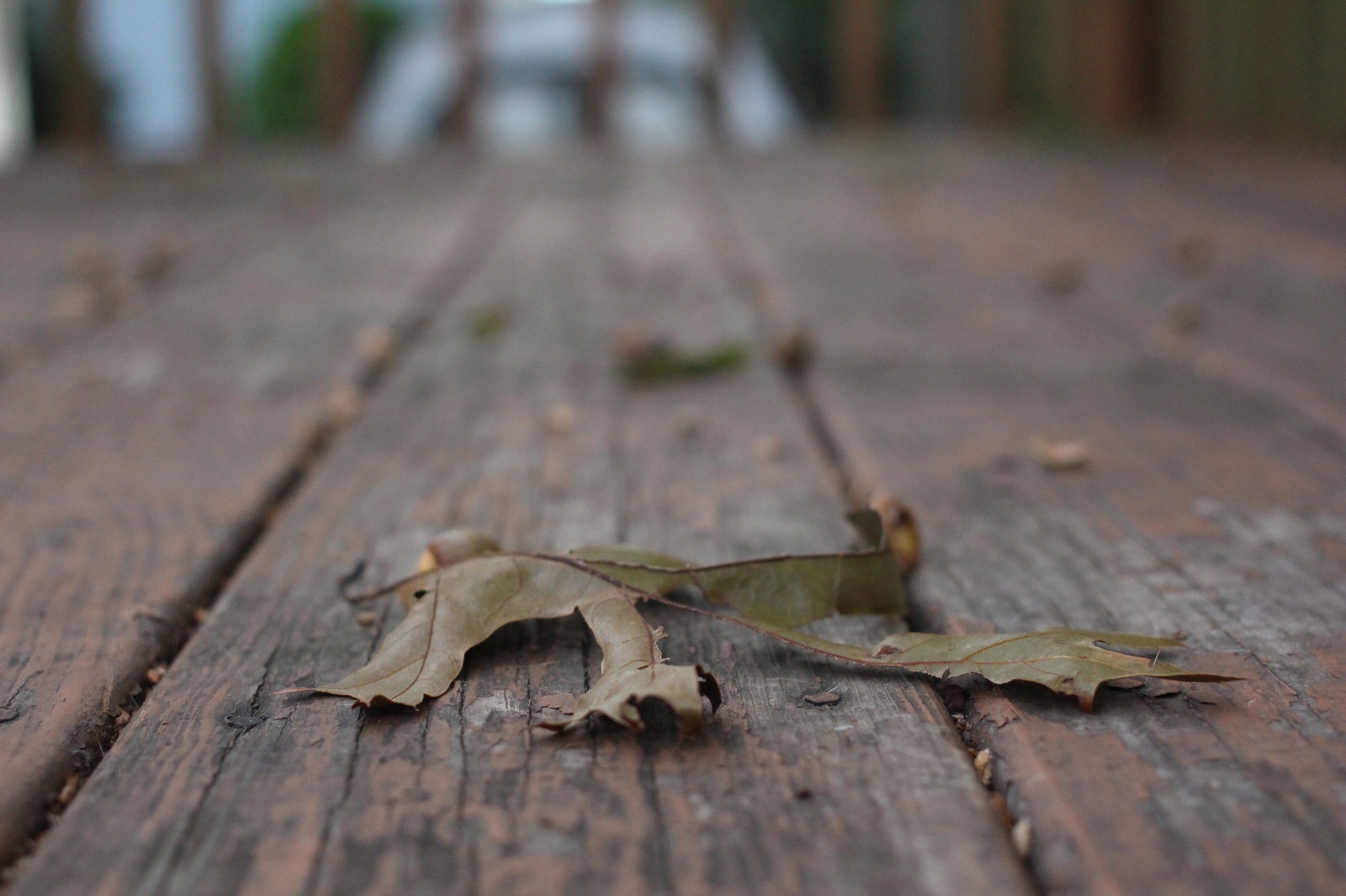 so anh iPhone 7 Plus voi DSLR anh 18