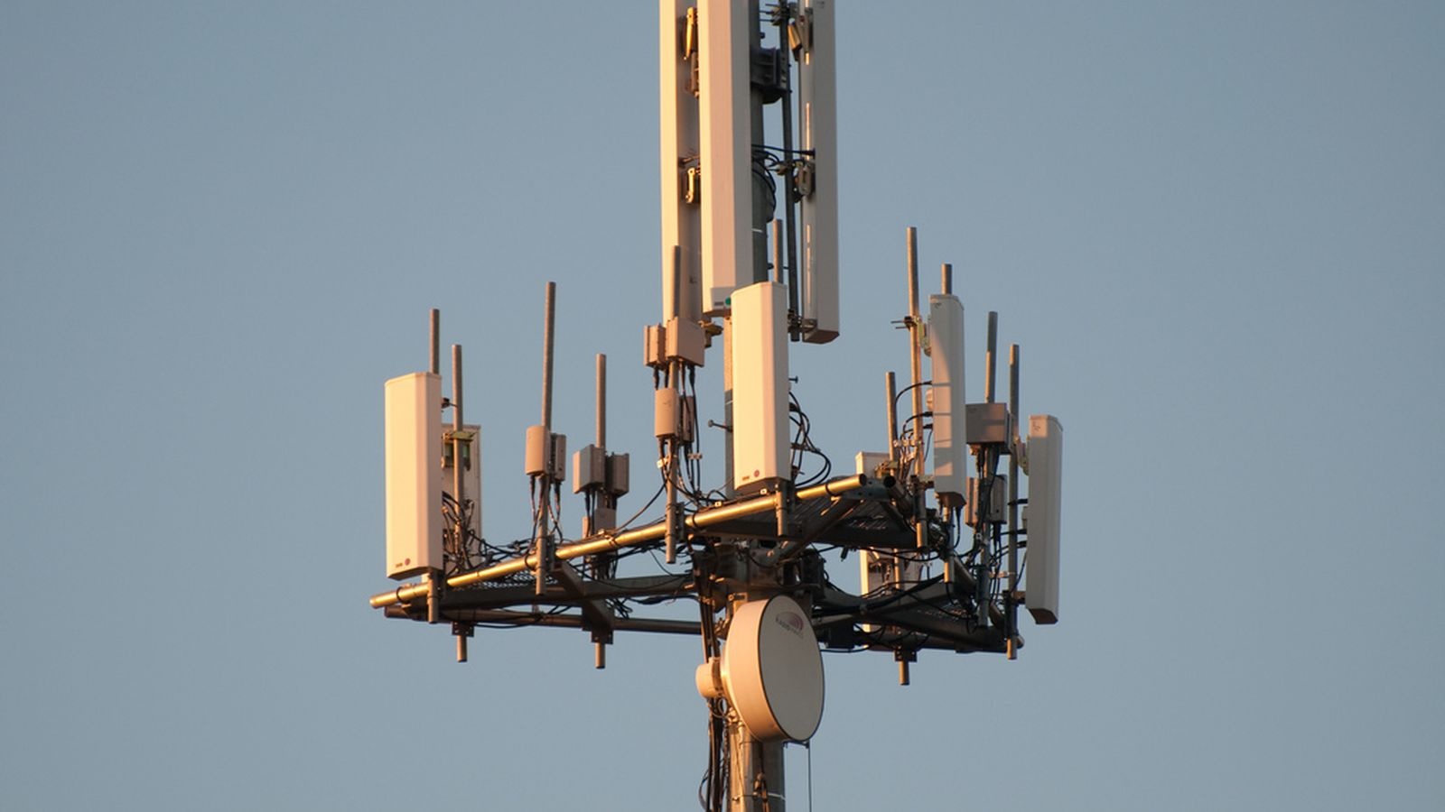 Mang LTE toc do cao nhat the gioi bat dau van hanh hinh anh