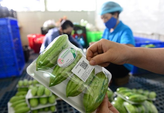 tạp hóa Zalo ảnh 3 tap hoa Zalo anh 3