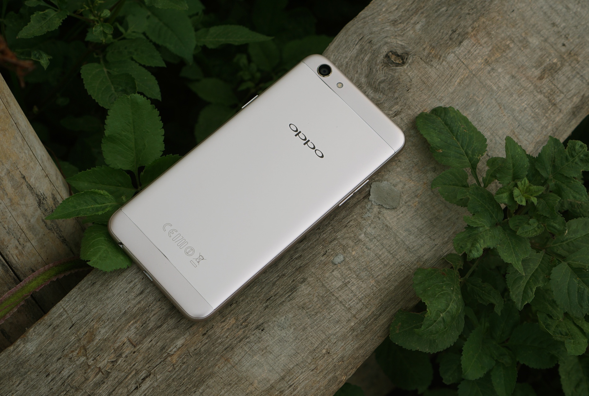 Danh gia Oppo F3: Selfie goc rong co dang tien? hinh anh
