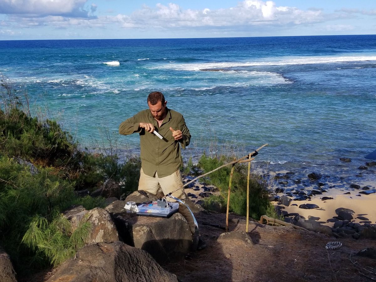 Trailer chuong trinh Hacking the Wild hinh anh