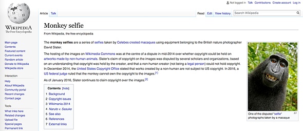 Cuoc chien ban quyen quanh buc anh con khi selfie anh 2