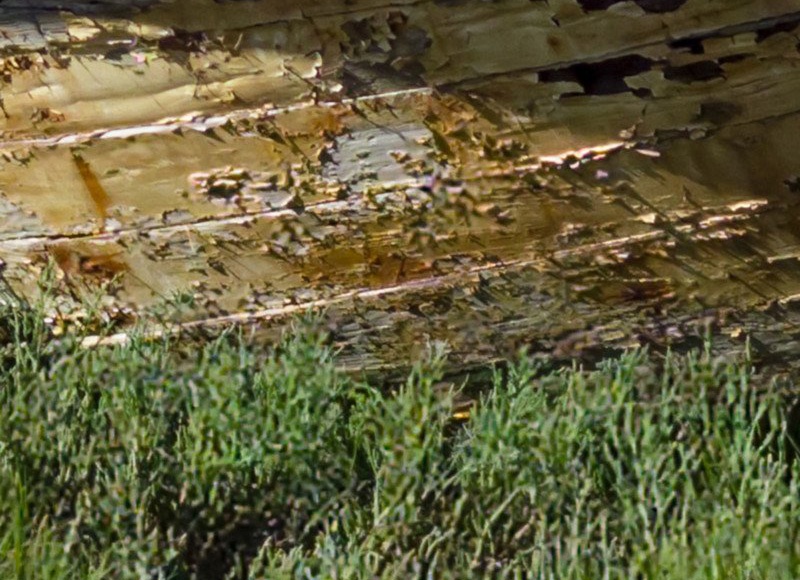 Ảnh chụp từ Light L16 ảnh 7 Anh chup tu Light L16 anh 7