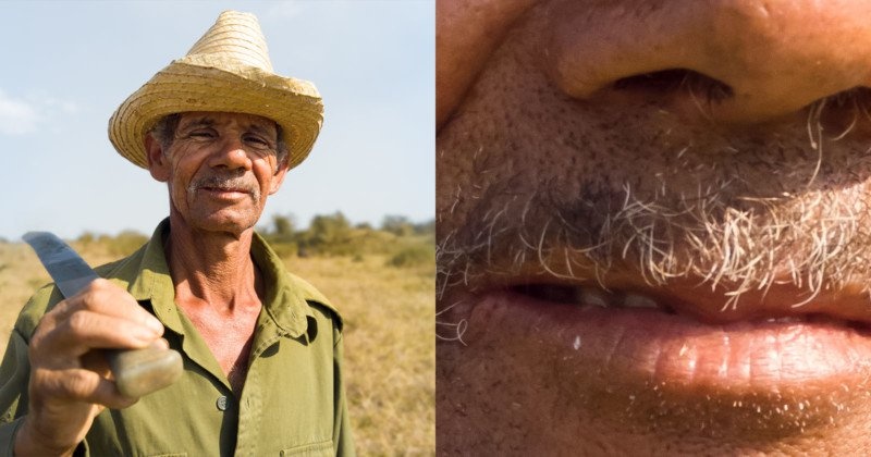 Buc anh 81 MP tu may anh 16 camera hinh anh