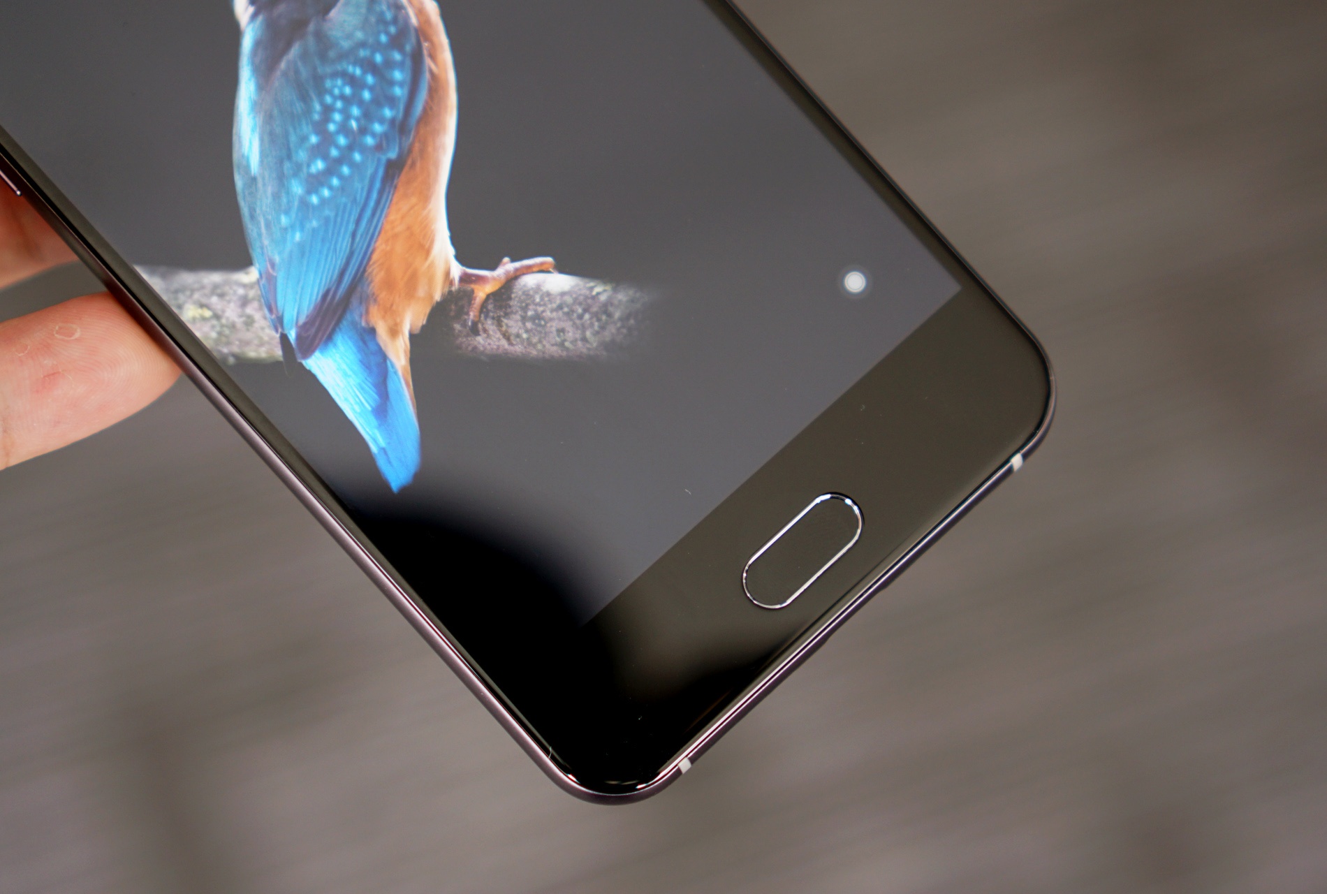 Mo hop Bphone 2017 anh 7