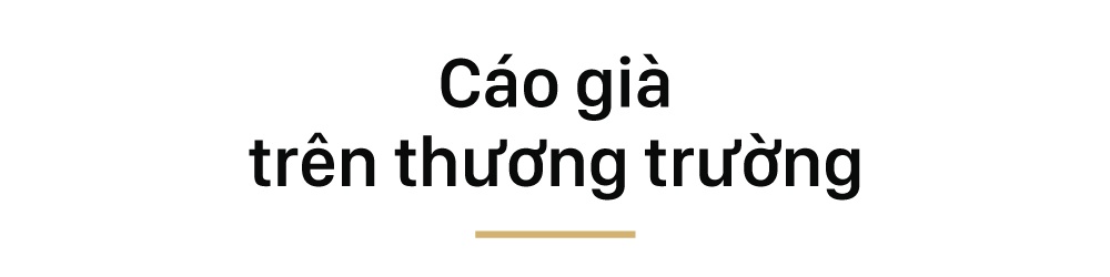 Tim Cook là ai ảnh 7 Tim Cook la ai anh 7