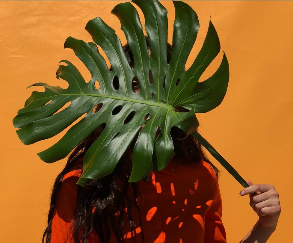 Anh chup thu tu iPhone X anh 10