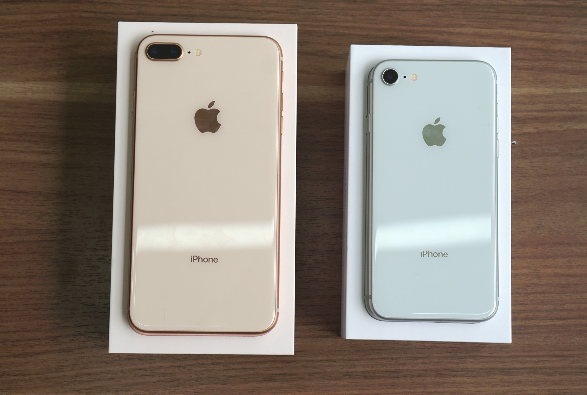 iPhone 8 chinh hang am tham ve nuoc: 'Chua bao gio e den the!' hinh anh