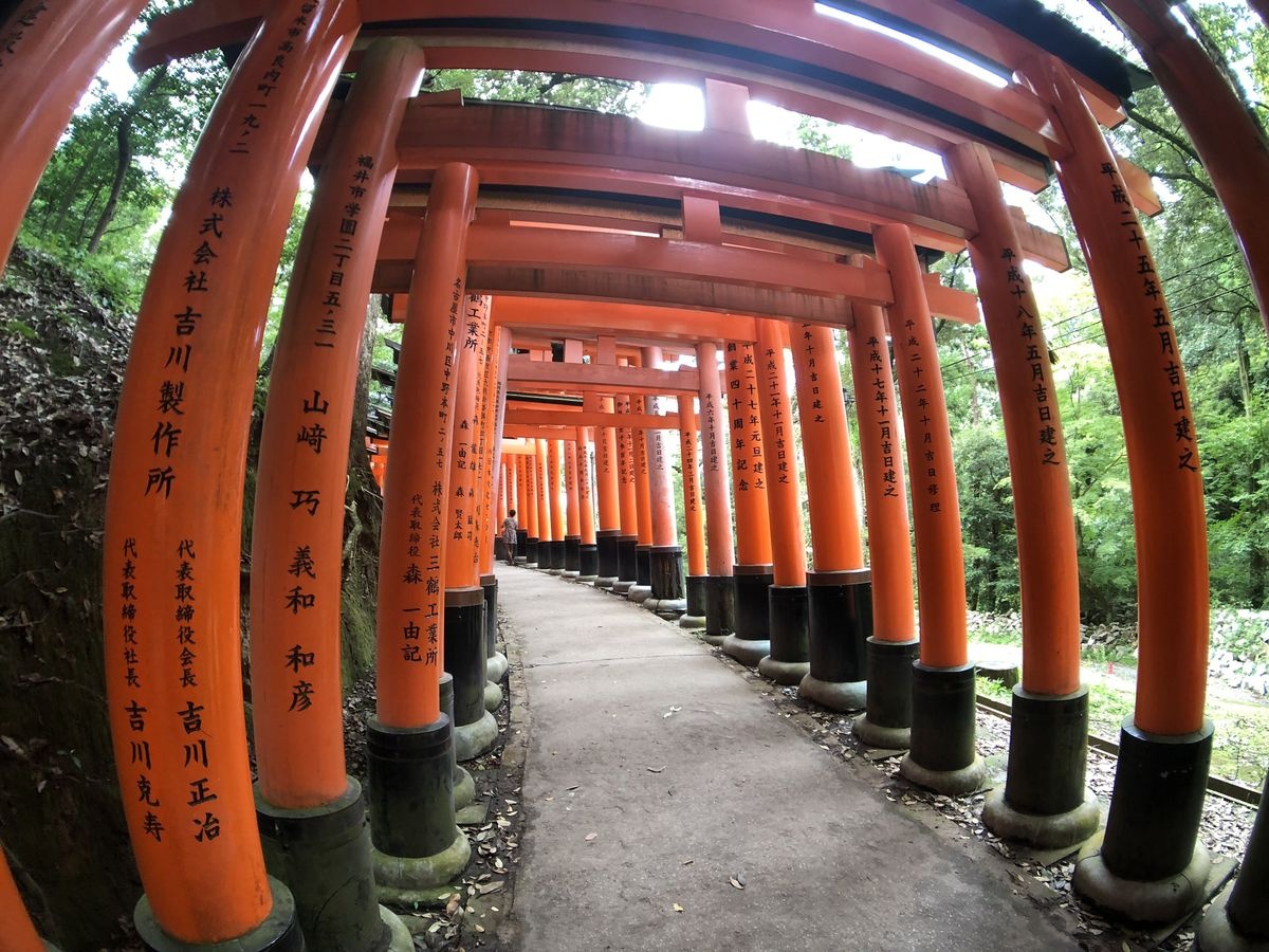 iPhone 8 Plus tot hon may anh anh 3