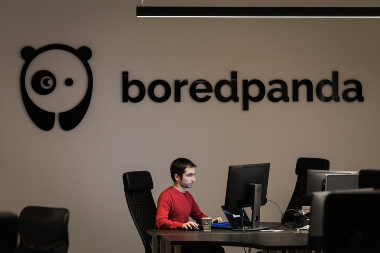 Bored Panda phat trien the nao anh 1
