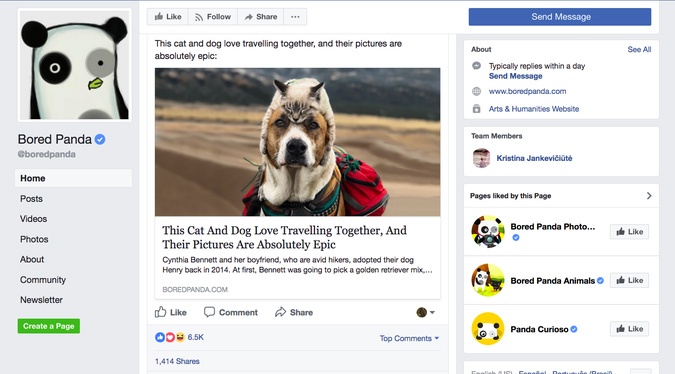 Bored Panda phat trien the nao anh 2