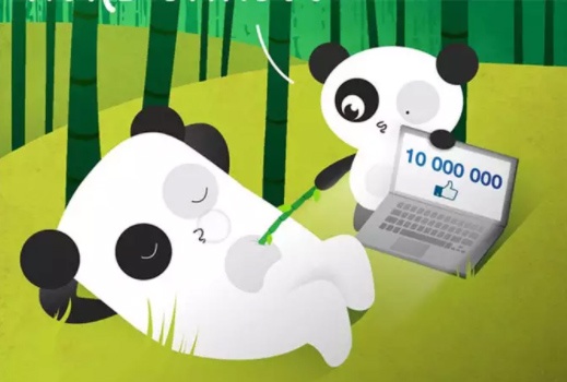 Bored Panda thanh the luc tren Facebook nhu the nao? hinh anh