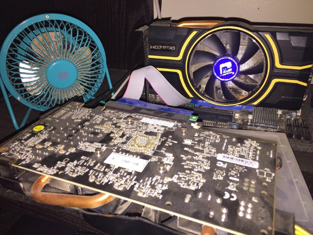 Cuoc song cua nhung sinh vien dao coin kiem tien hinh anh