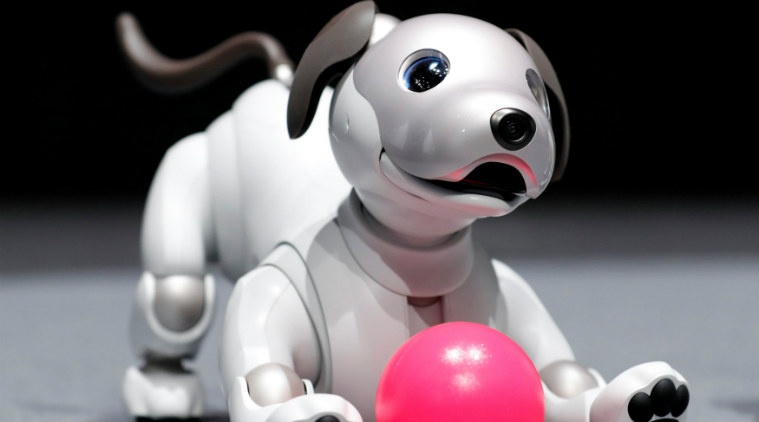 Chu cho robot khien trien lam CES dien dao hinh anh