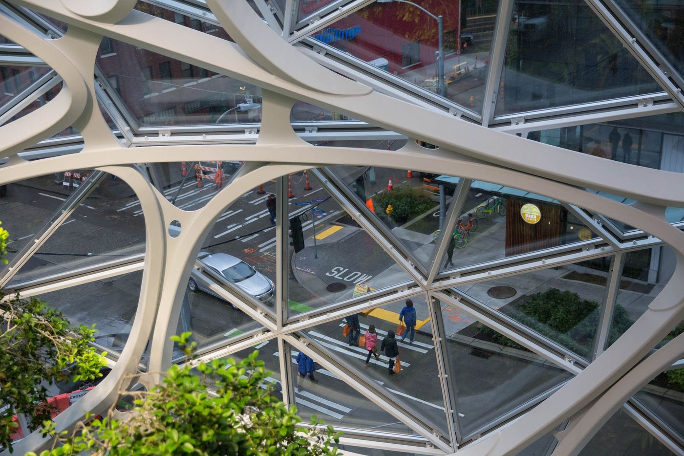 van phong lam viec nhu khu rung cua Jeff Bezos anh 5