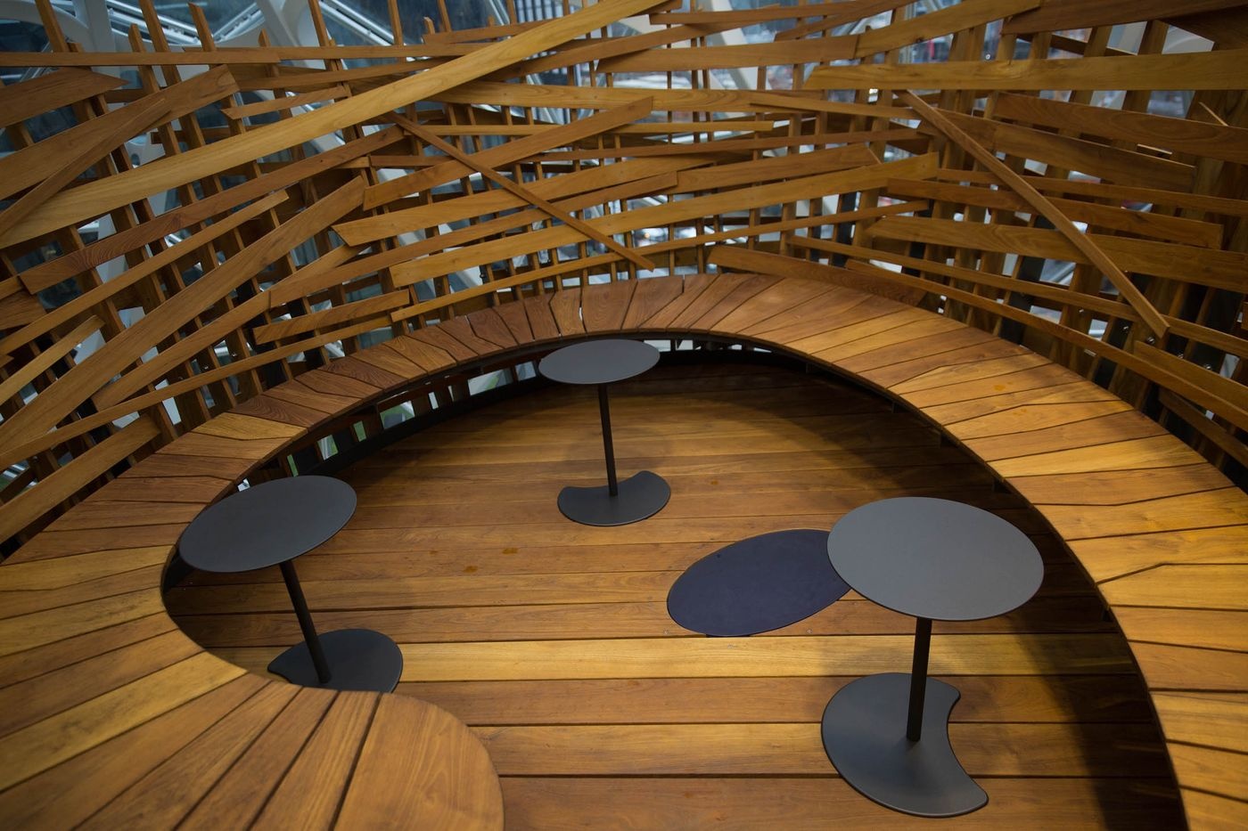 van phong lam viec nhu khu rung cua Jeff Bezos anh 6