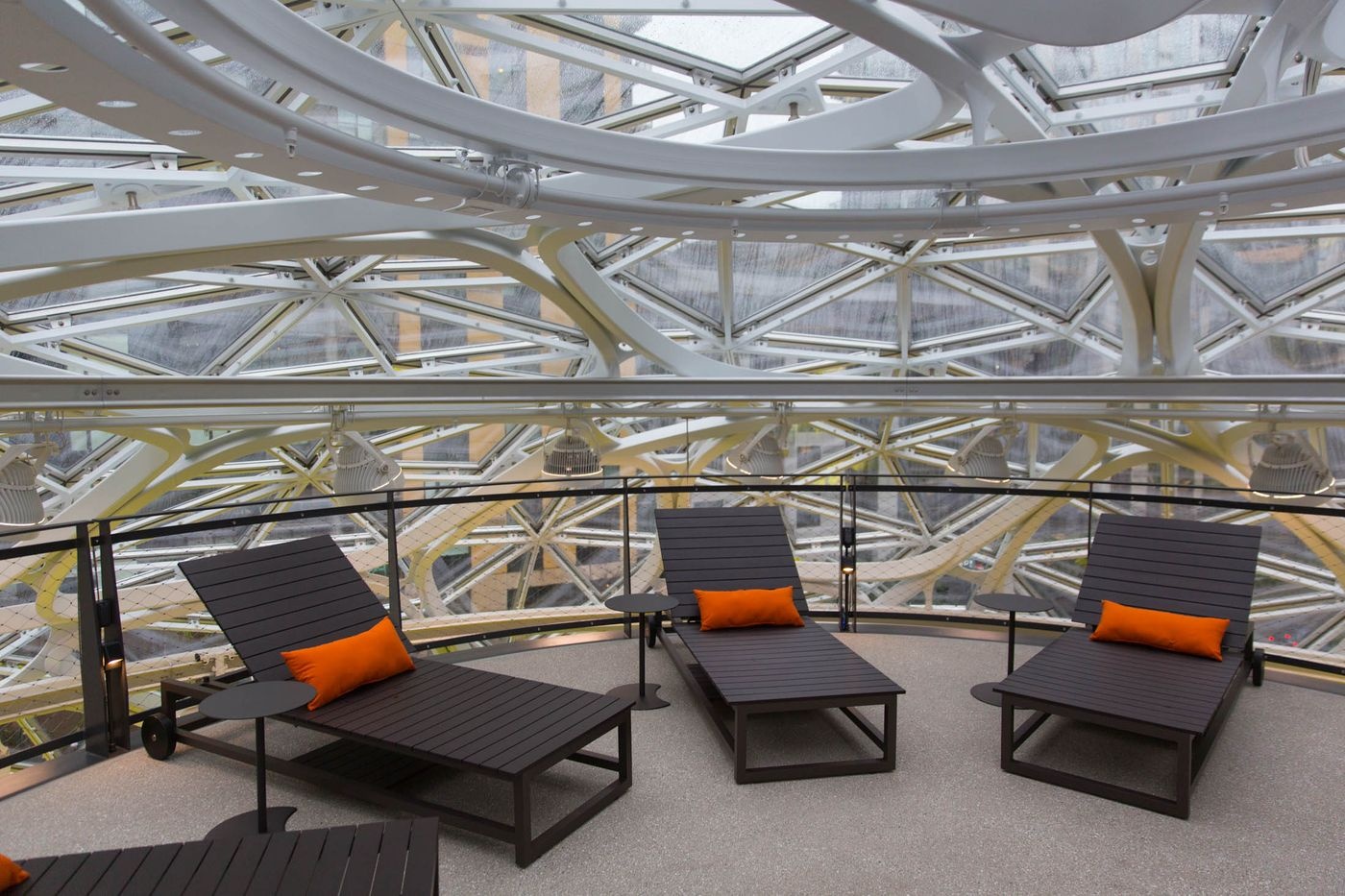 van phong lam viec nhu khu rung cua Jeff Bezos anh 8