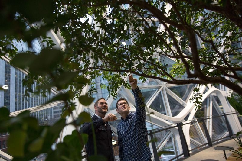 van phong lam viec nhu khu rung cua Jeff Bezos anh 3