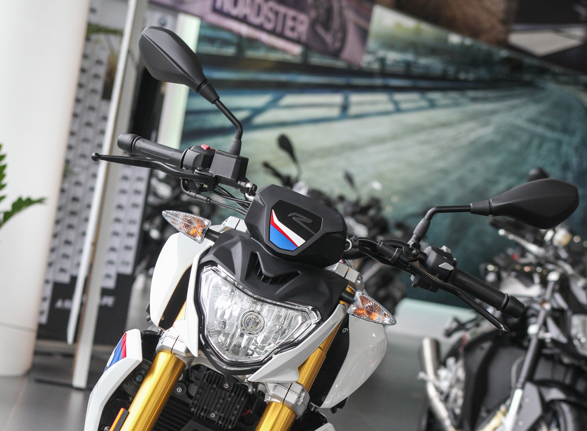 Can canh BMW G 310 GS va BMW G 310 R anh 9