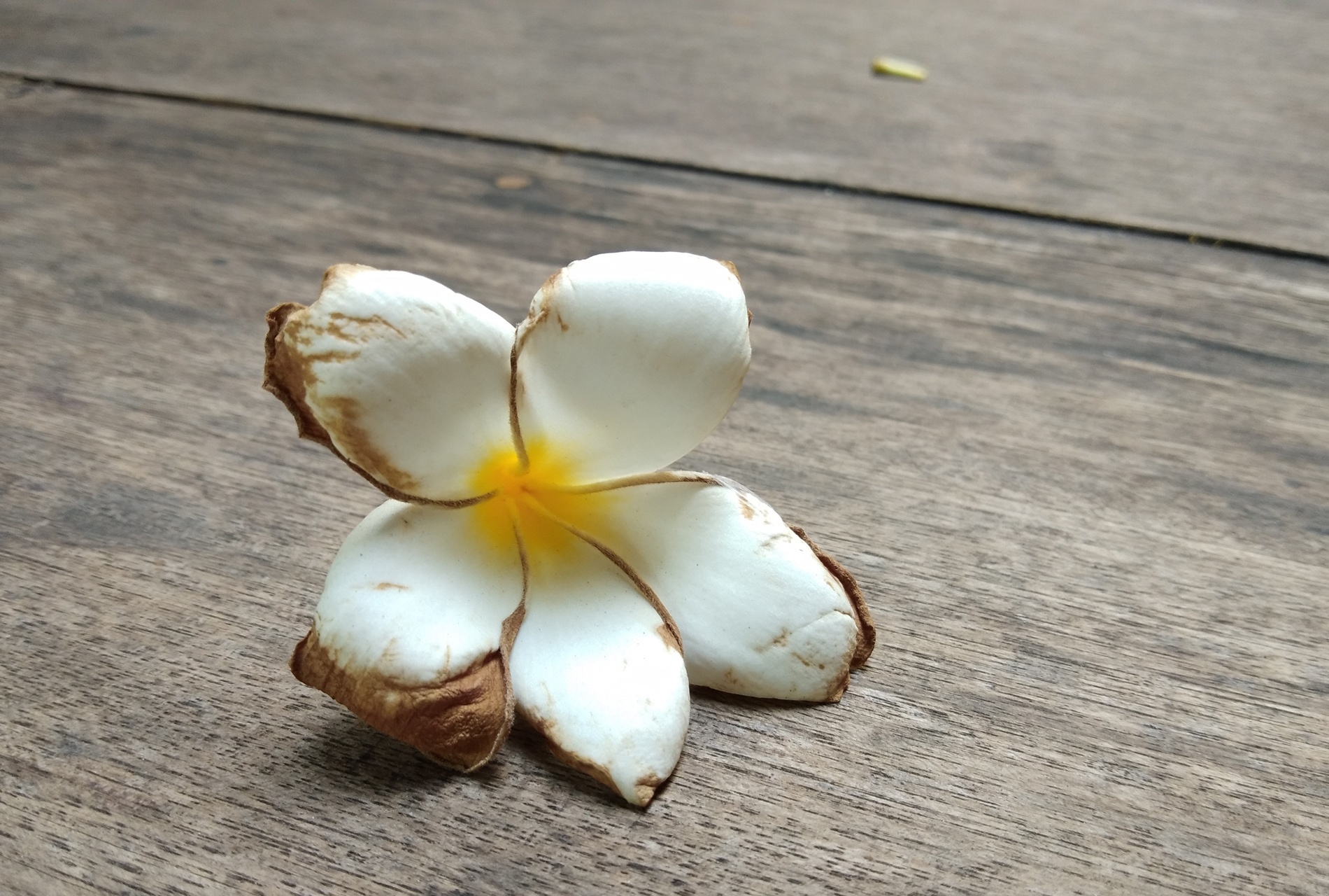 Danh gia Vivo V9 anh 6