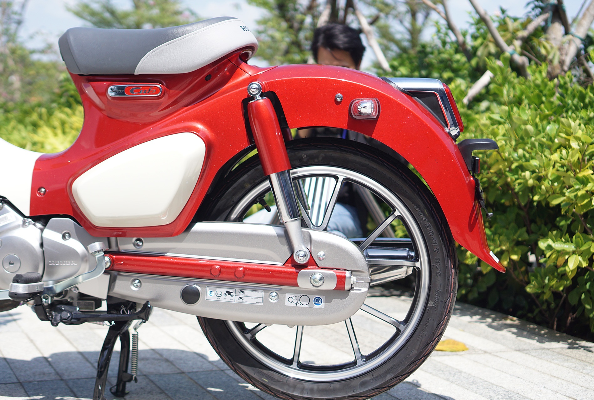 Anh Honda Super Cub C125 anh 6