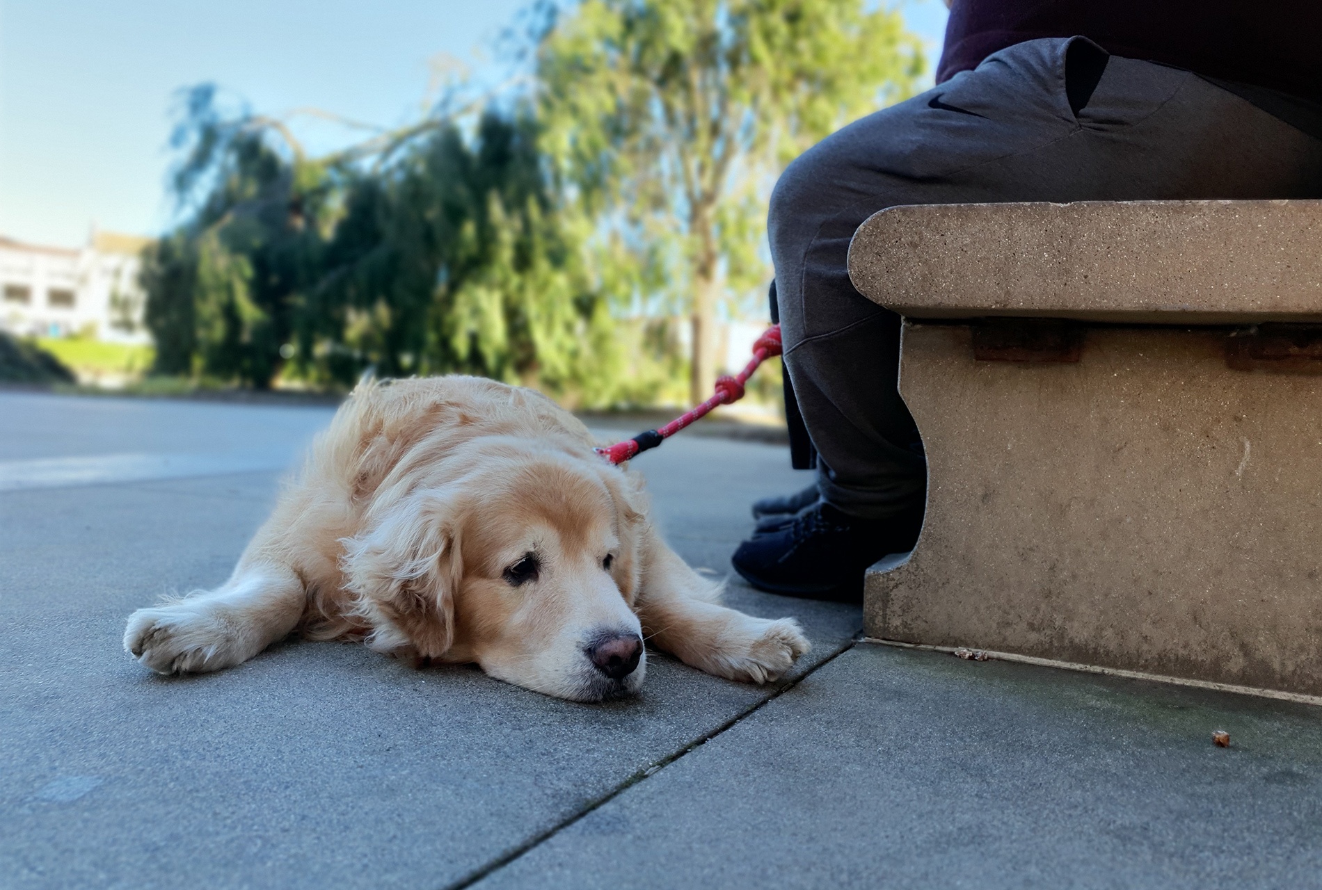 trải nghiệm đầu tiên với Galaxy S10+ ảnh 6 trai nghiem dau tien voi Galaxy S10+ anh 6