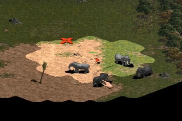 Pha ngau hung suyt cau 4 voi cua Chim Se Di Nang hinh anh