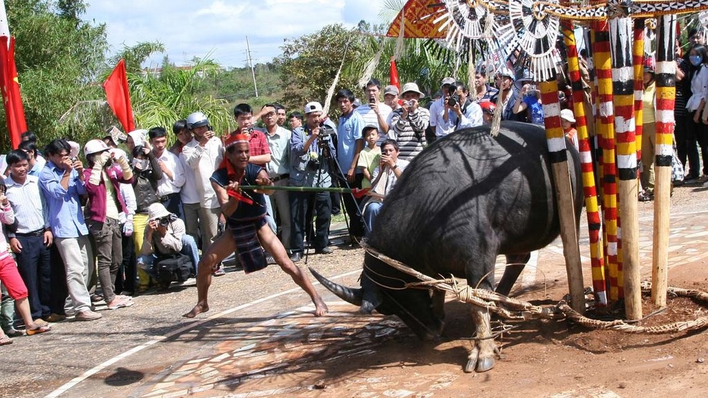 Chuyen de: Nhung le hoi tranh cuop va man ro hinh anh