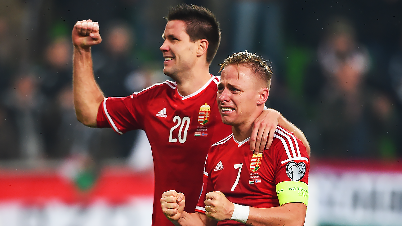 Lich thi dau Euro 2016 - Tuyen Hungary hinh anh