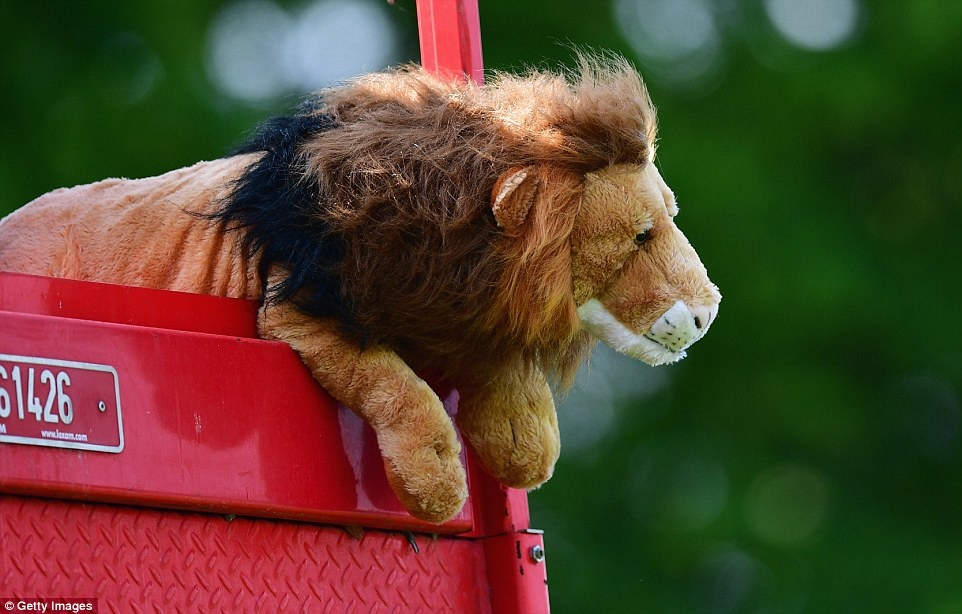 Tuyển Anh tập luyện ảnh 10 Tuyen Anh tap luyen anh 10