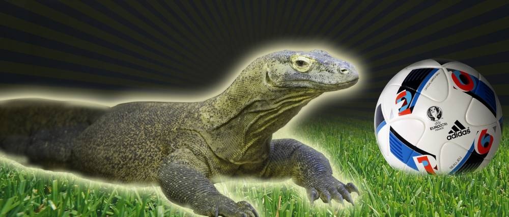 'Nha tien tri' ky da cua Euro 2016 du doan Phap thang hinh anh