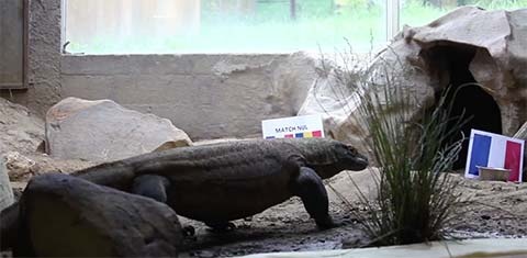 Lo dien nha tien tri cua Euro 2016 anh 1