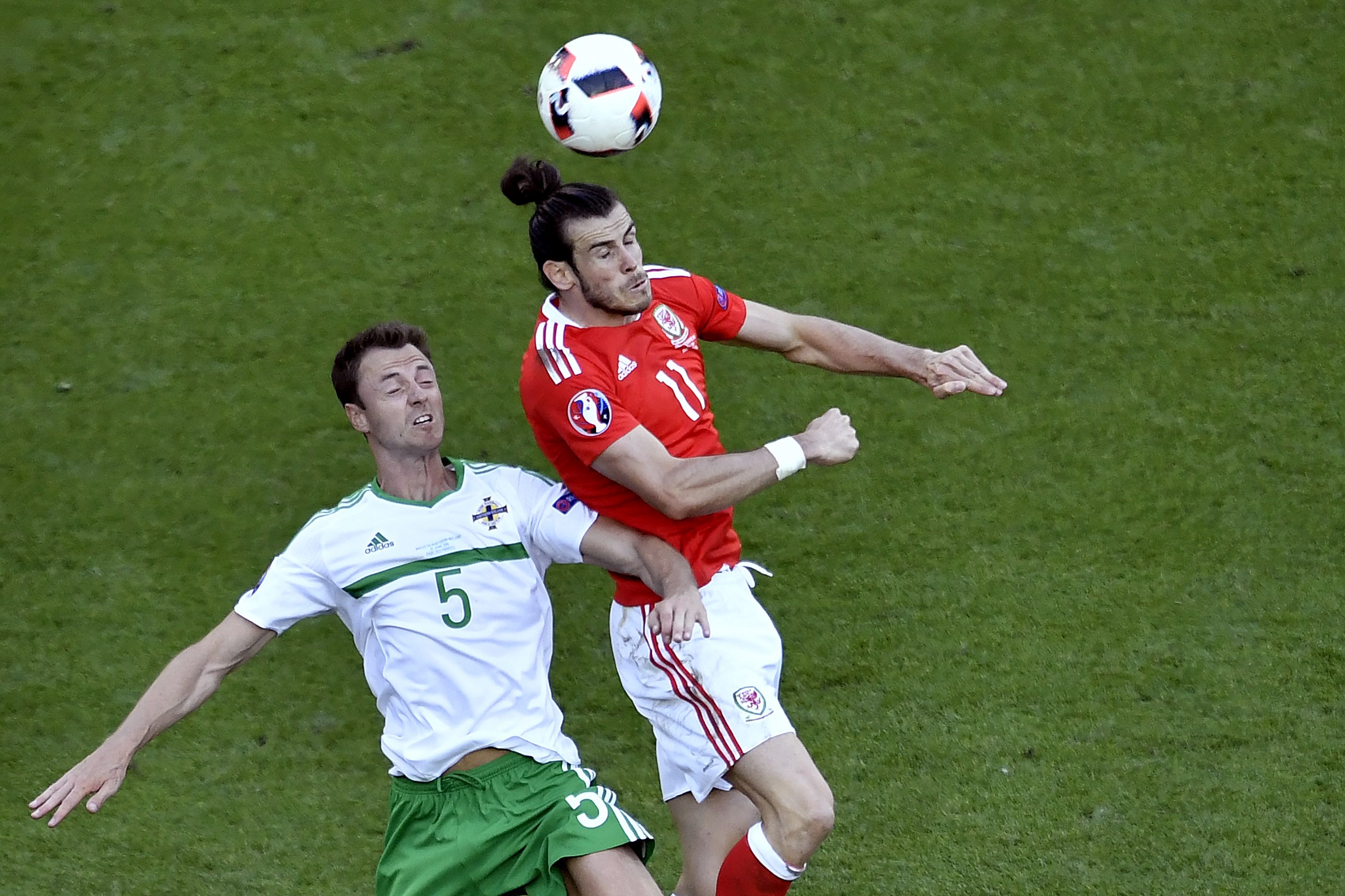 Xứ Wales vs Bắc Ireland ảnh 1 Xu Wales vs Bac Ireland anh 1