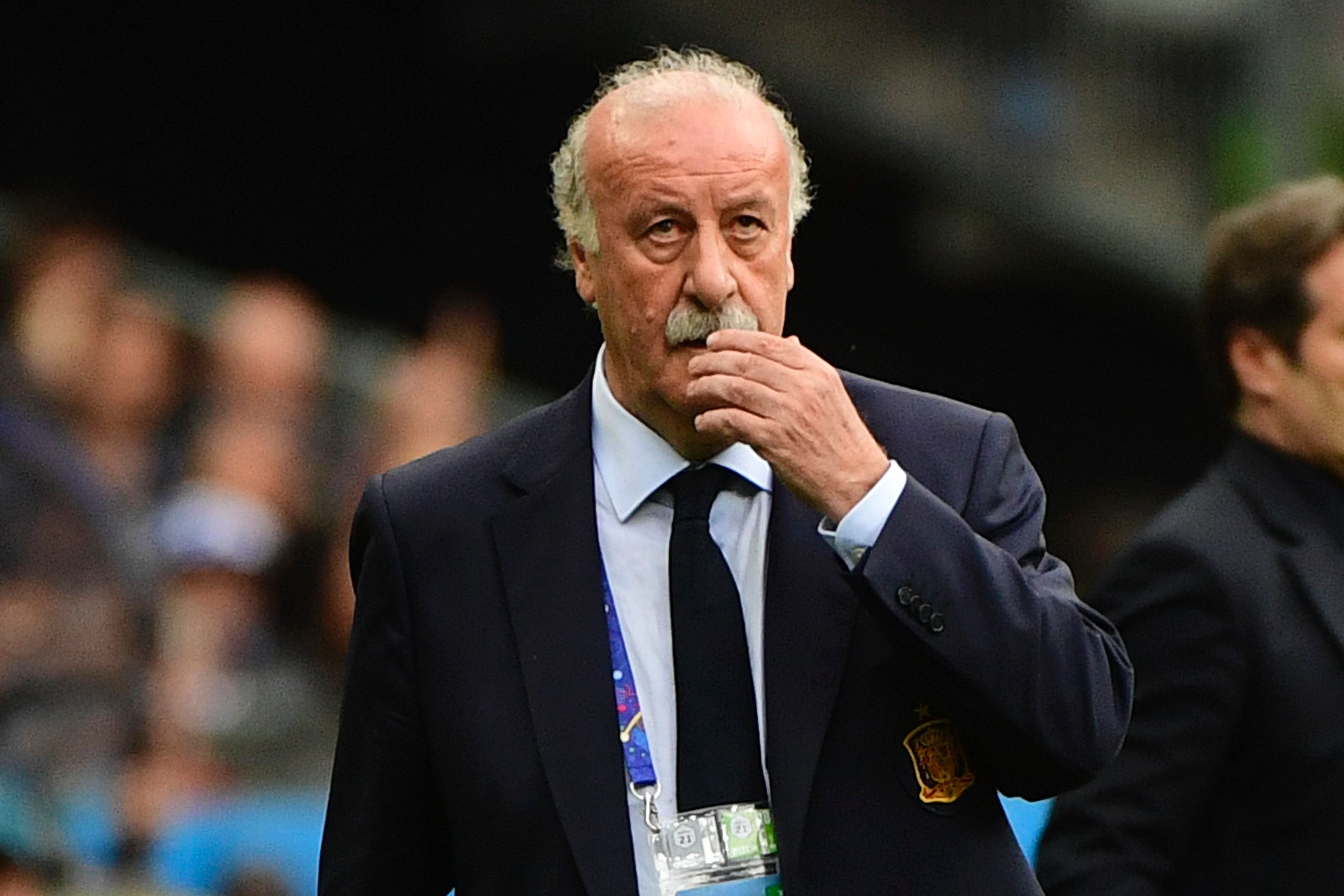 Bao Tay Ban Nha: Del Bosque chia tay 'La Roja' hinh anh