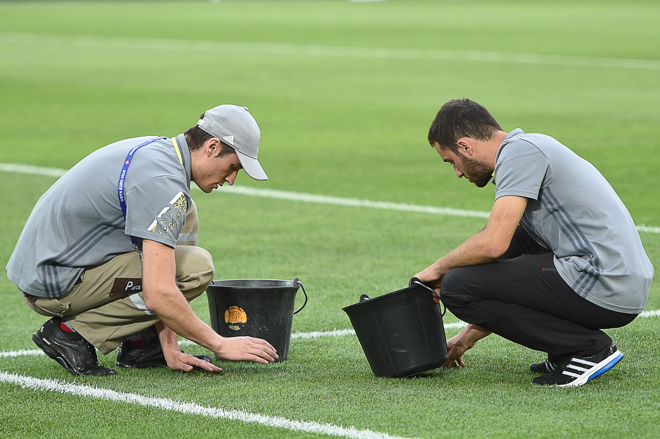 Mat san cua Euro 2016 la tham hoa hinh anh
