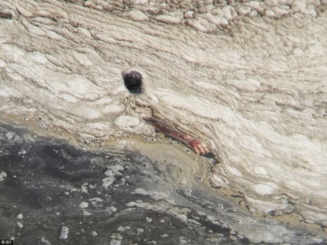 Chao mung toi mot Olympics cua o nhiem va vi khuan hinh anh