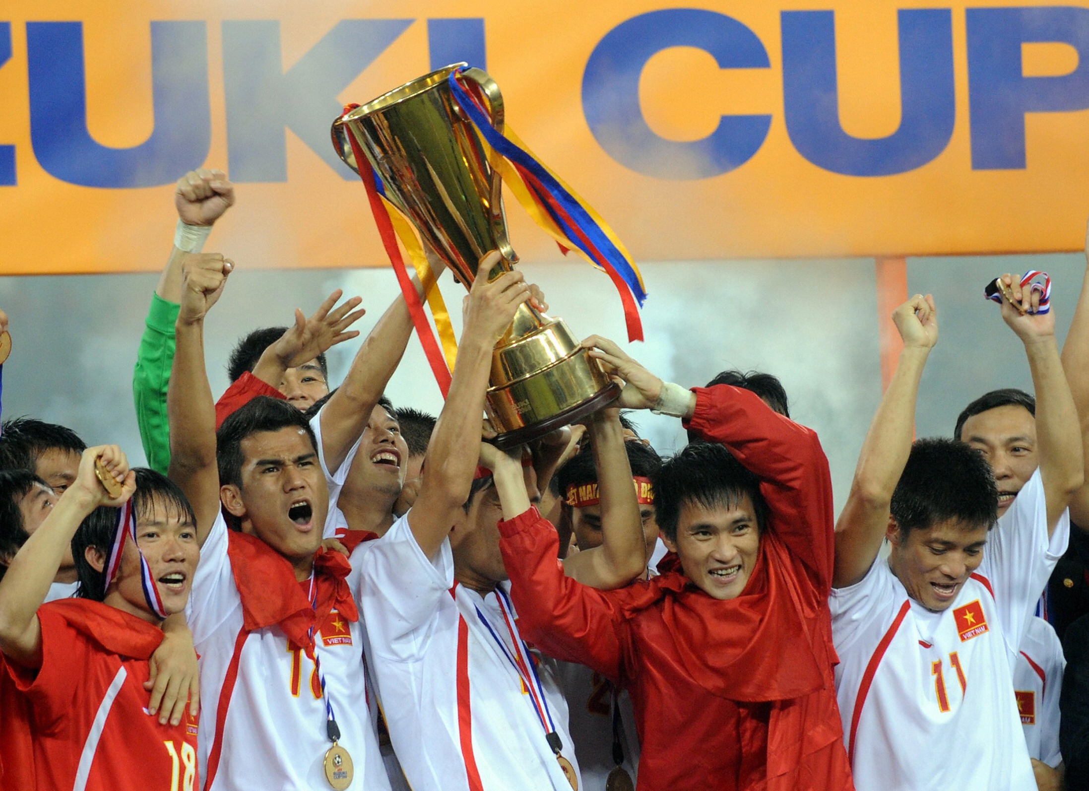 Viet Nam mang hinh bong nha vo dich nam 2008 tai AFF Cup hinh anh