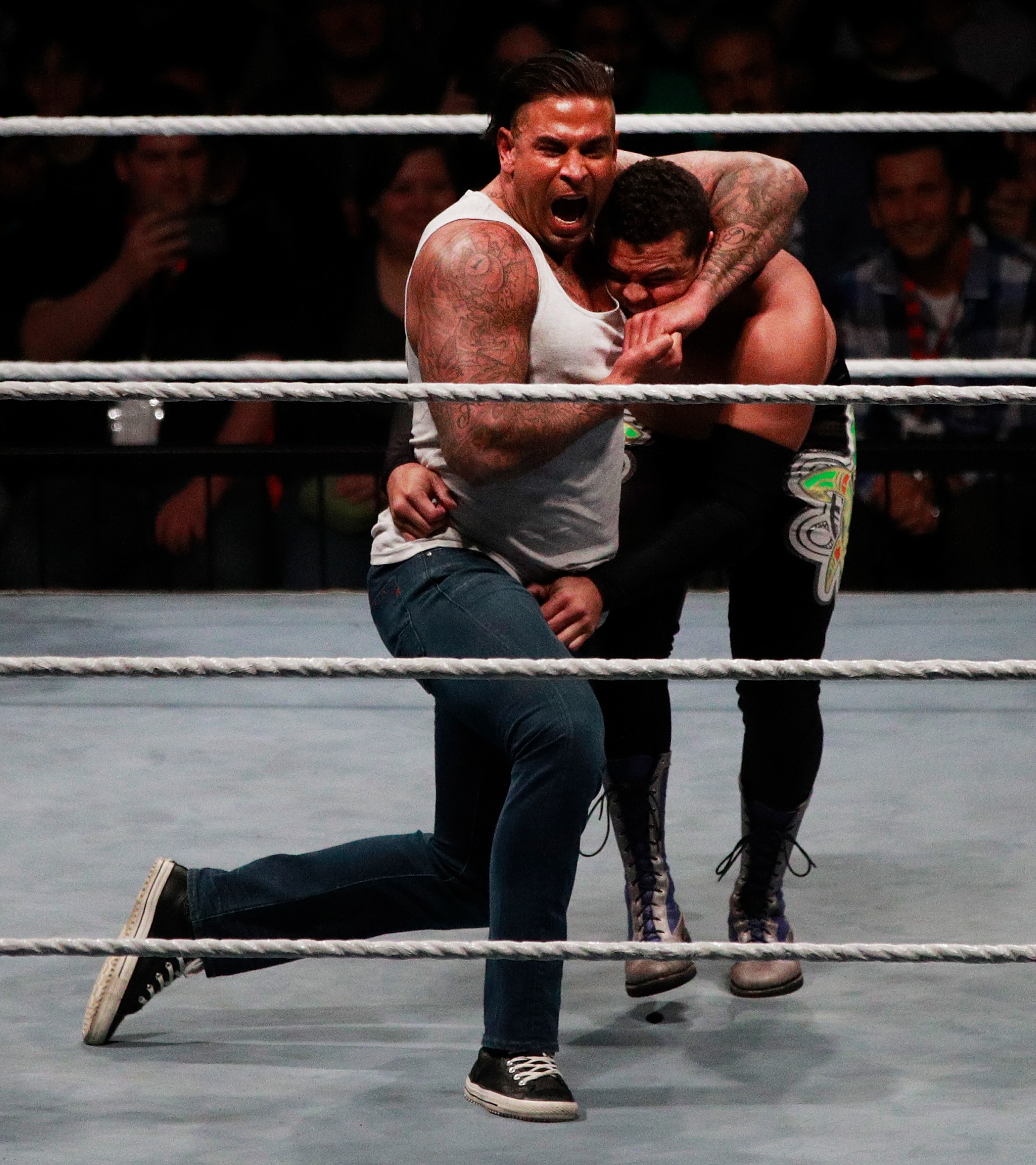 Cuu thu thanh Duc thang tran do vat anh 2