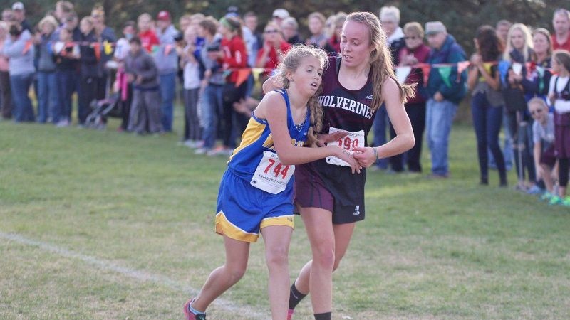 Chap nhan bi loai, co be lop 8 cuu doi thu hinh anh