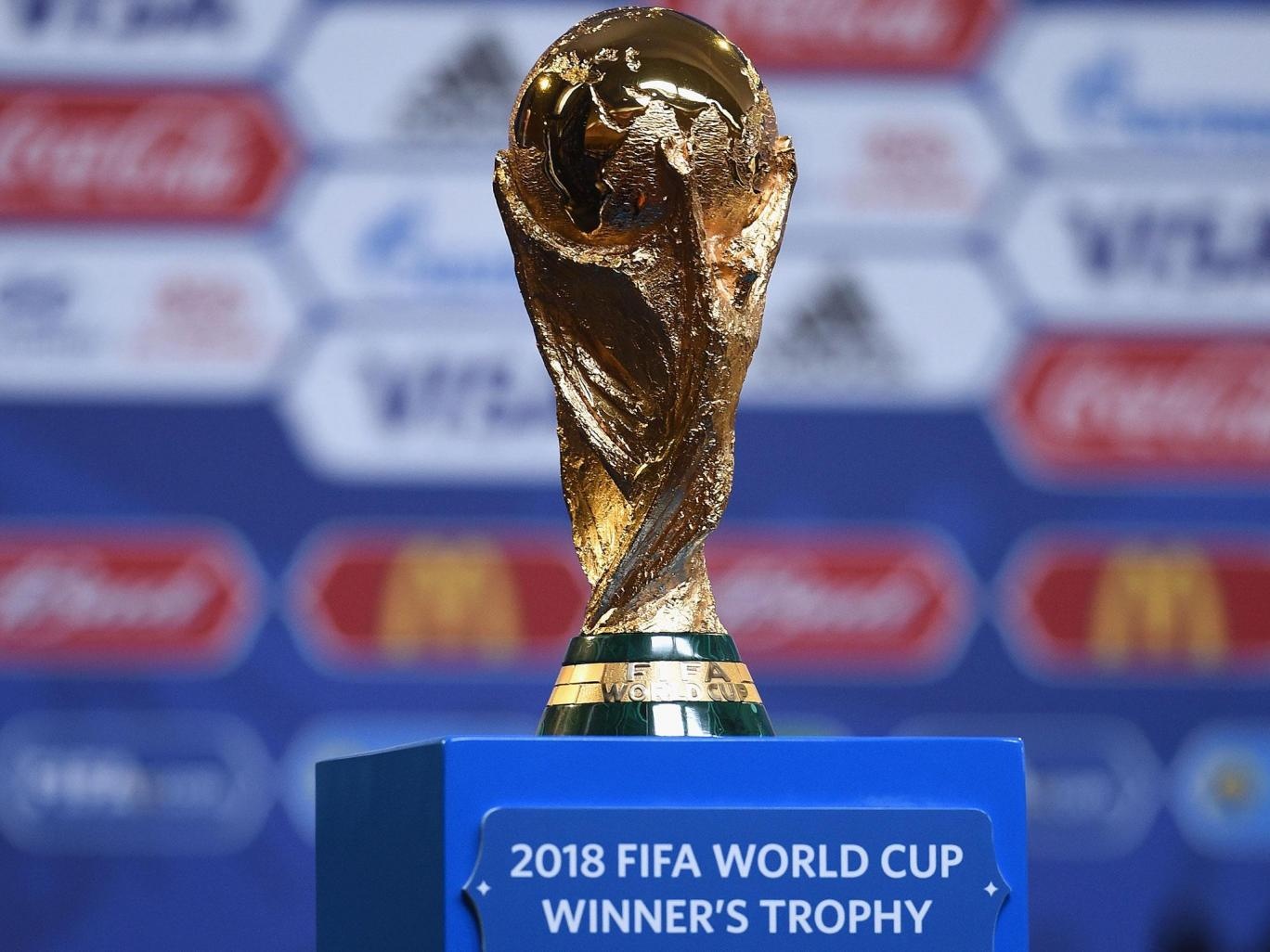 FIFA chinh thuc tang so doi du World Cup hinh anh