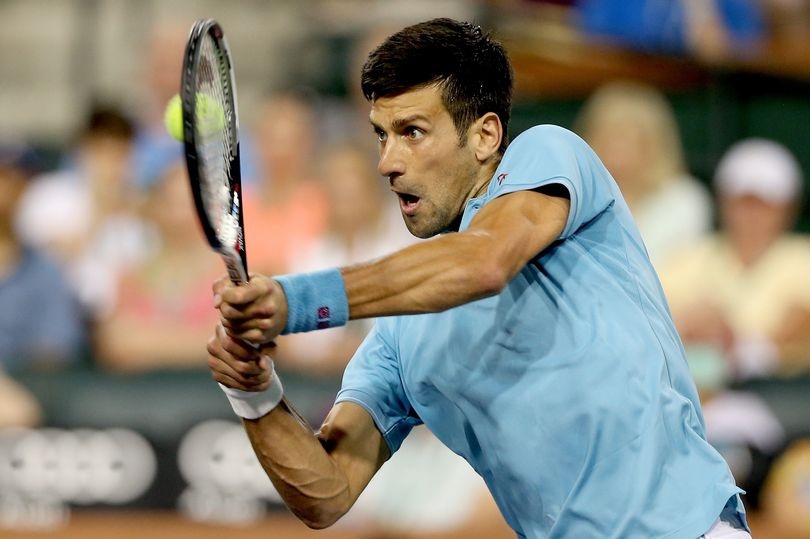 'Nguoi soi' Logan khieu chien Djokovic anh 1