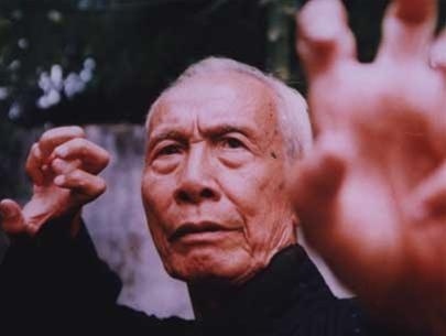 Huỳnh Tuấn Kiệt, thiên tài võ học gây tranh cãi ảnh 3 Huynh Tuan Kiet, thien tai vo hoc gay tranh cai anh 3