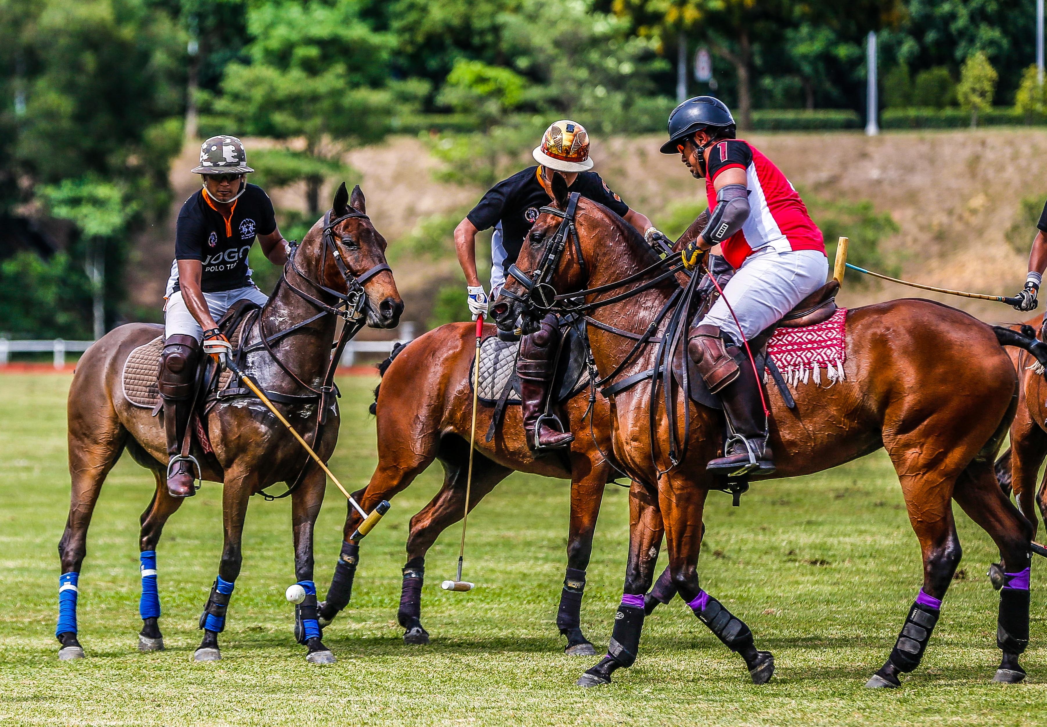 Bo truong Malaysia di thi SEA Games anh 1